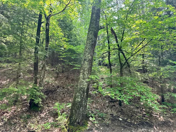 $115,000 | Lot 20 Dyke Mountain Road, Sebago, ME 04029