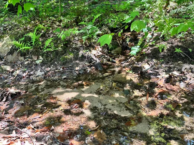 $130,000 | Lot 20 Dyke Mountain Road, Sebago, ME 04029