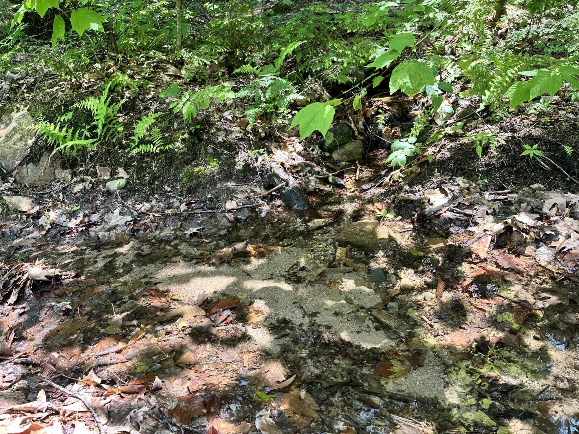 Lot 20 Dyke Mountain Road Sebago, ME 04029 - Photo 4 of 6 IMG_2418