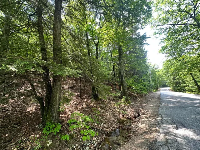 $130,000 | Lot 20 Dyke Mountain Road, Sebago, ME 04029