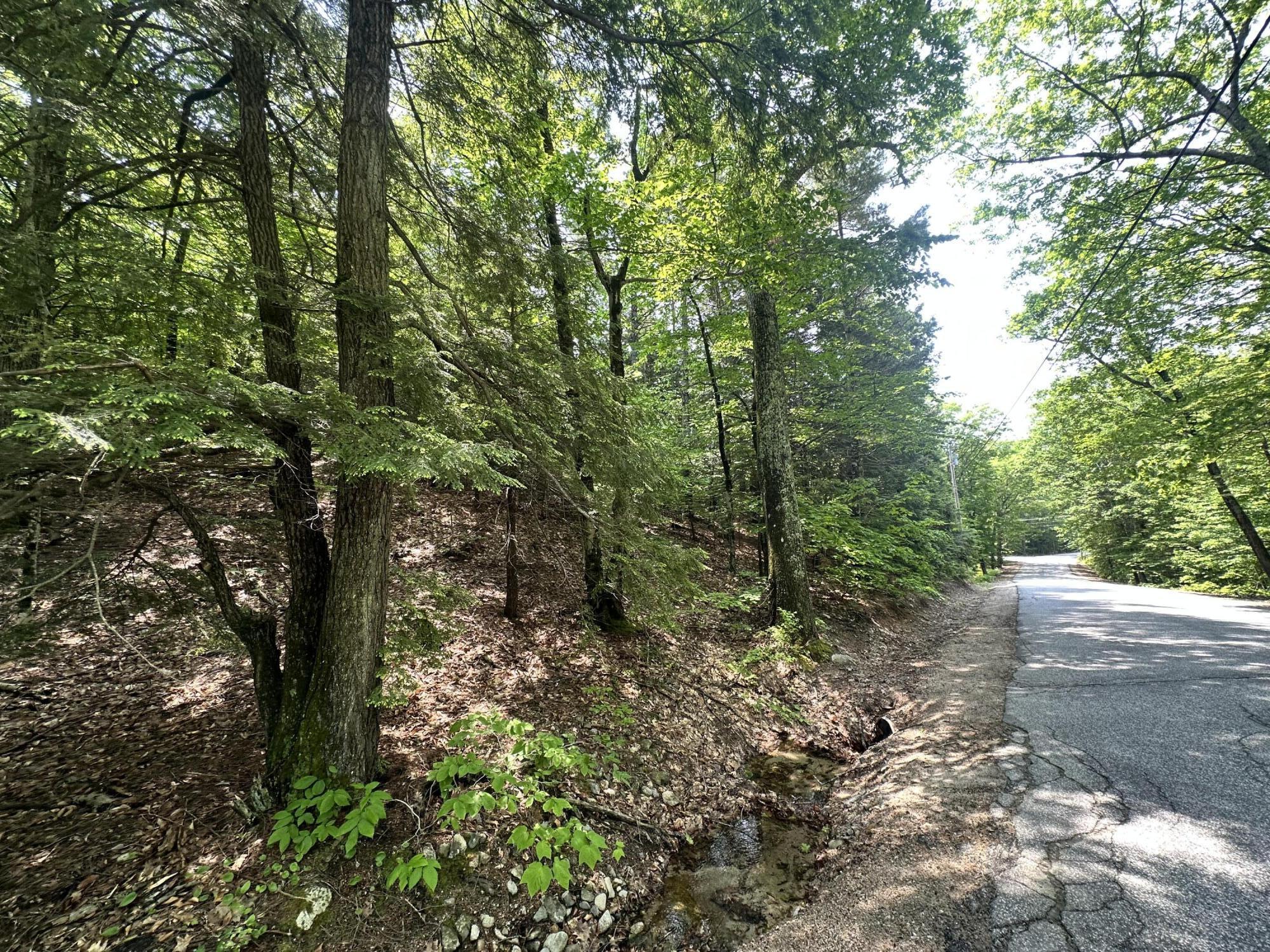 Lot 20 Dyke Mountain Road Sebago, ME 04029 - Photo 5 of 6 IMG_2419