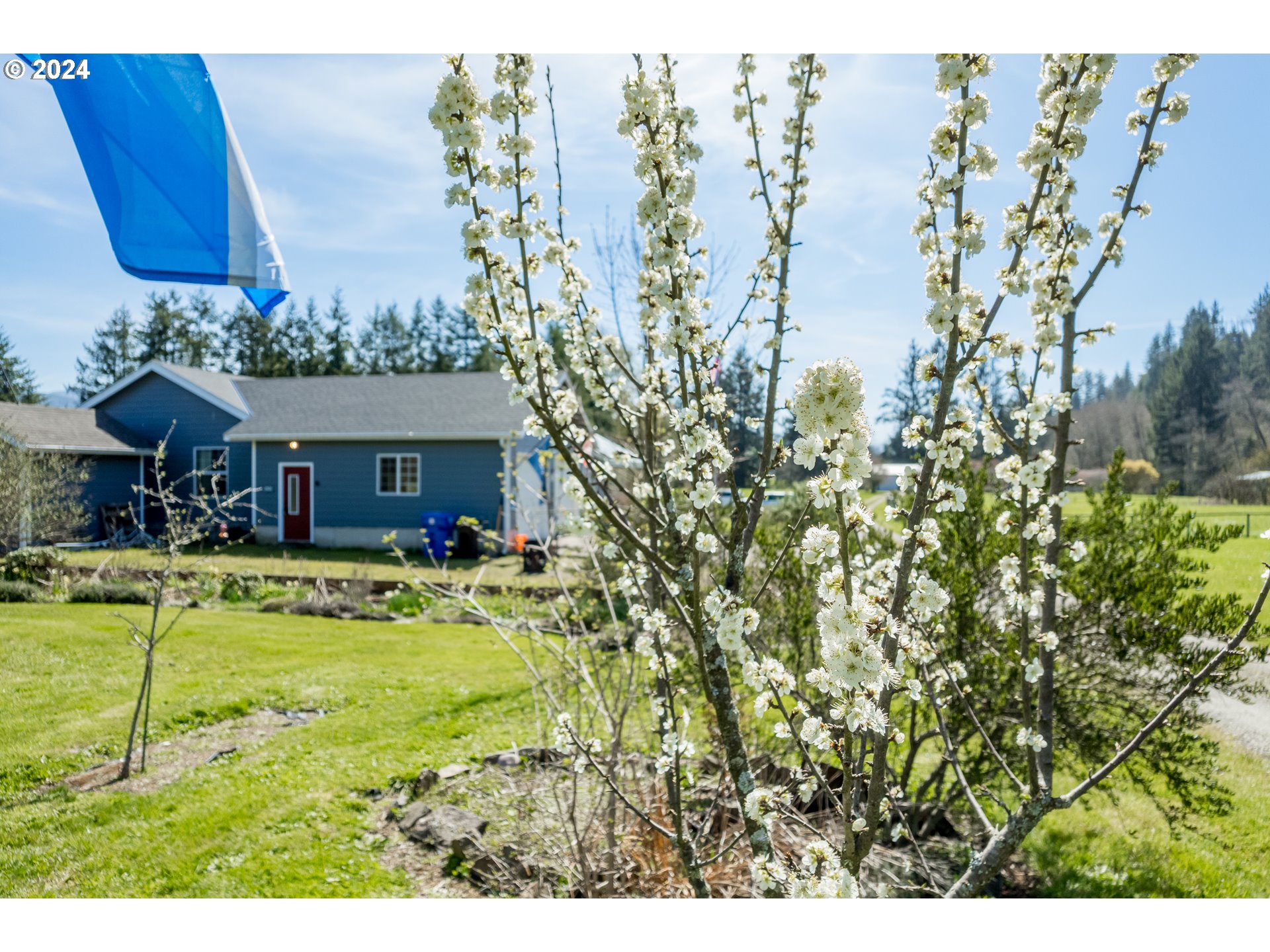 4700 Brickyard Road Tillamook, OR 97141 - Photo 9 of 44 Gallery Image 9