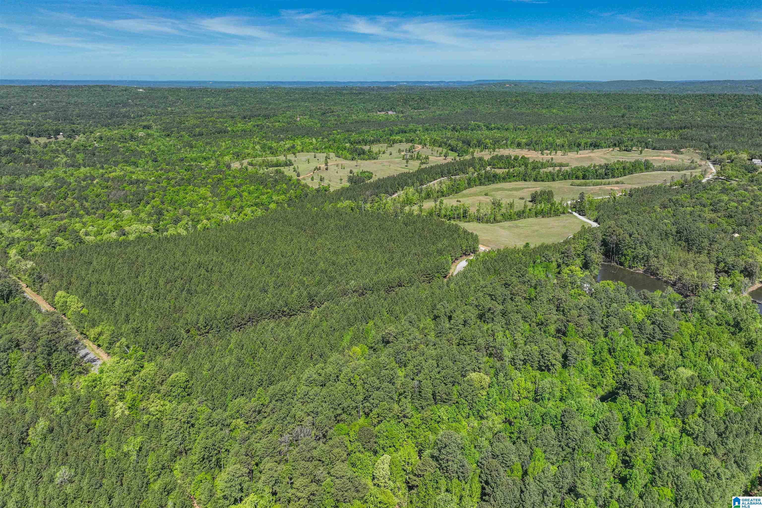 489 4 Wing Lake Road Alabaster, AL 35007 - Photo 13 of 27