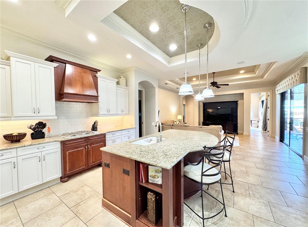 17835 Southwest 68th Place Dunnellon, FL 34432 - Photo 4 of 27