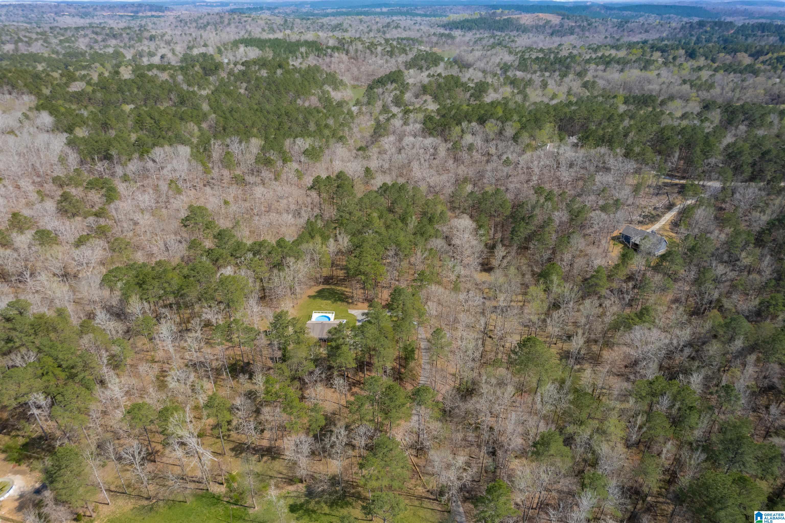 184 Sequoyah Road Pell City, AL 35128 - Photo 30 of 46