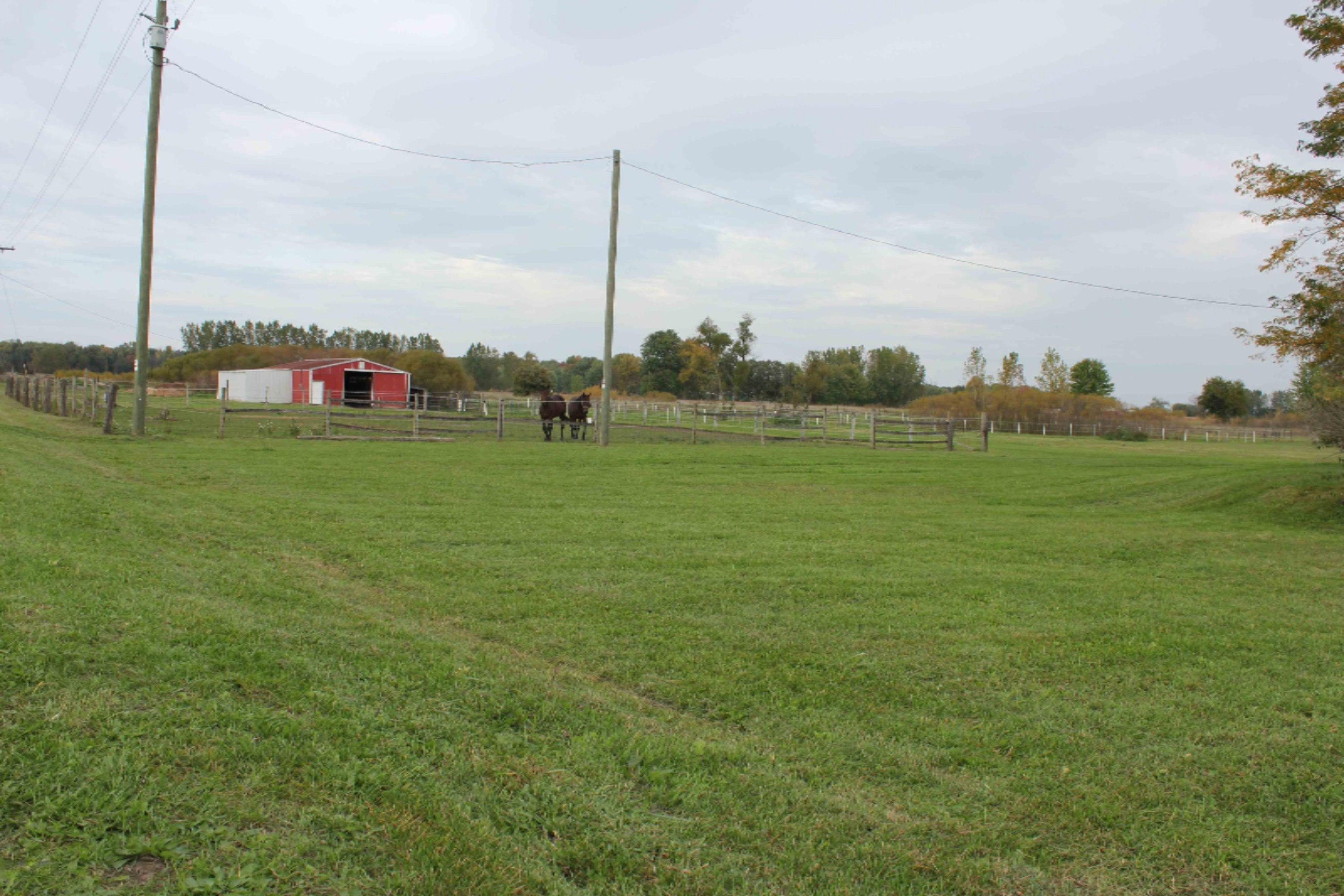 3748 Ensley Road Ravenna, MI 49451 - Photo 25 of 43 014