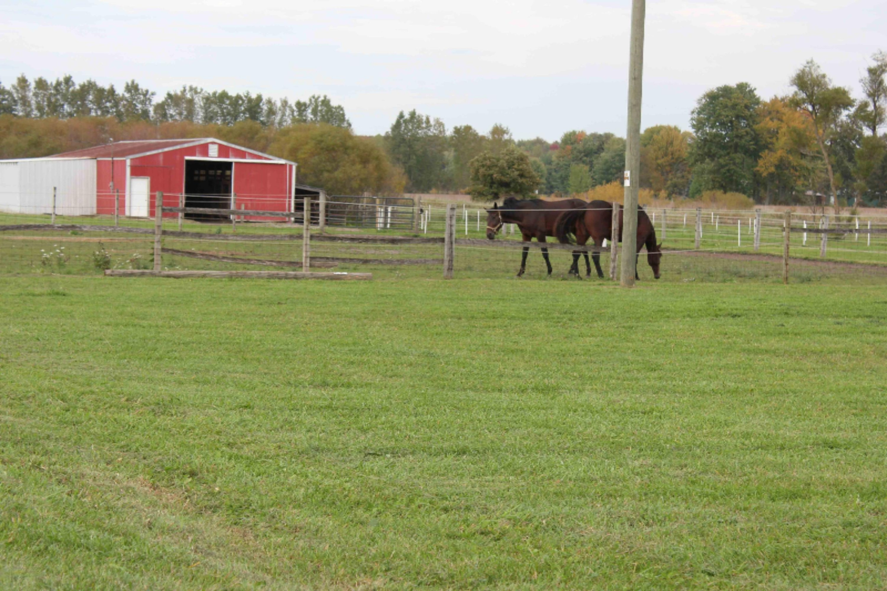3748 Ensley Road Ravenna, MI 49451 - Photo 26 of 43 016