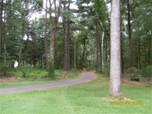 730 N Road Westfield, MA 01085 - Photo 2 of 10 a big yard with lots of green space and trees