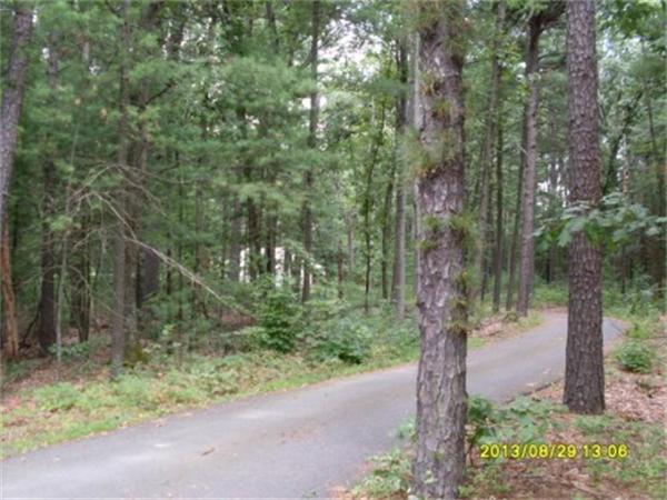 730 N Road Westfield, MA 01085 - Photo 4 of 10 a view of a forest with trees