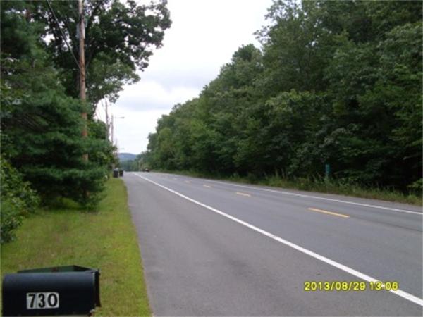 730 N Road Westfield, MA 01085 - Photo 10 of 10 a view of a yard with potted plants and large trees