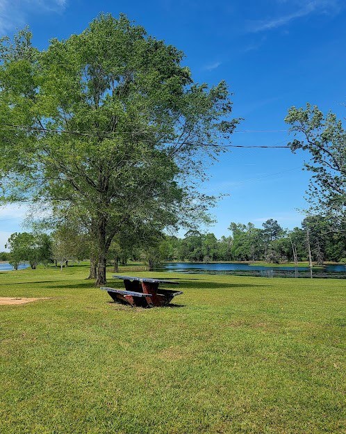101 Vickie Lane Shepherd, TX 77371 - Photo 24 of 29 a front view of a house with a yard
