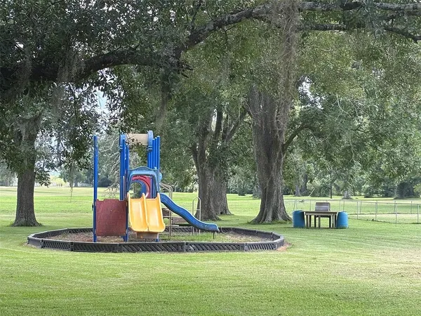a view of a park with large trees