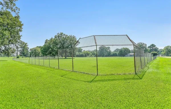 a view of a park with a large tree