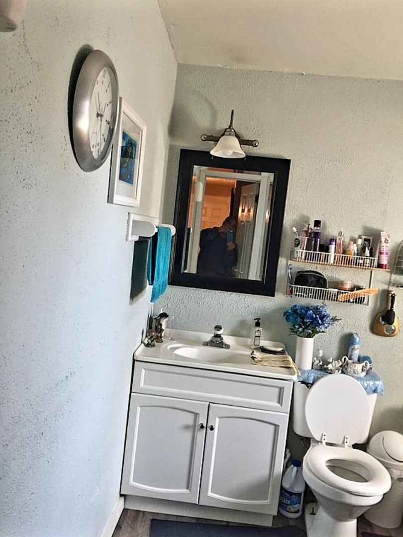 726 Spring Street Aurora, IL 60505 - Photo 8 of 9