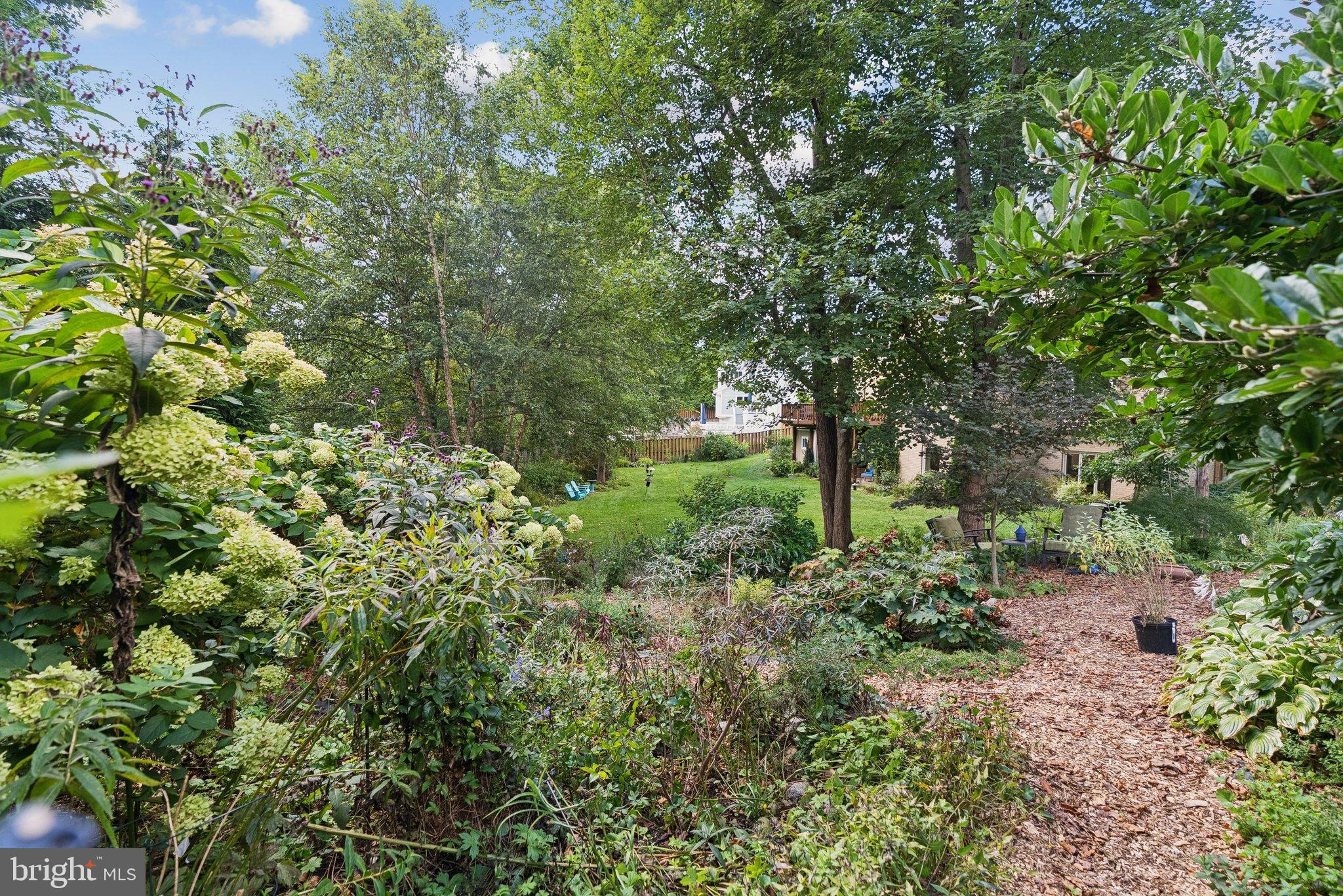 9817 Conestoga Way Potomac, MD 20854 - Photo 34 of 35 a view of a garden with plants