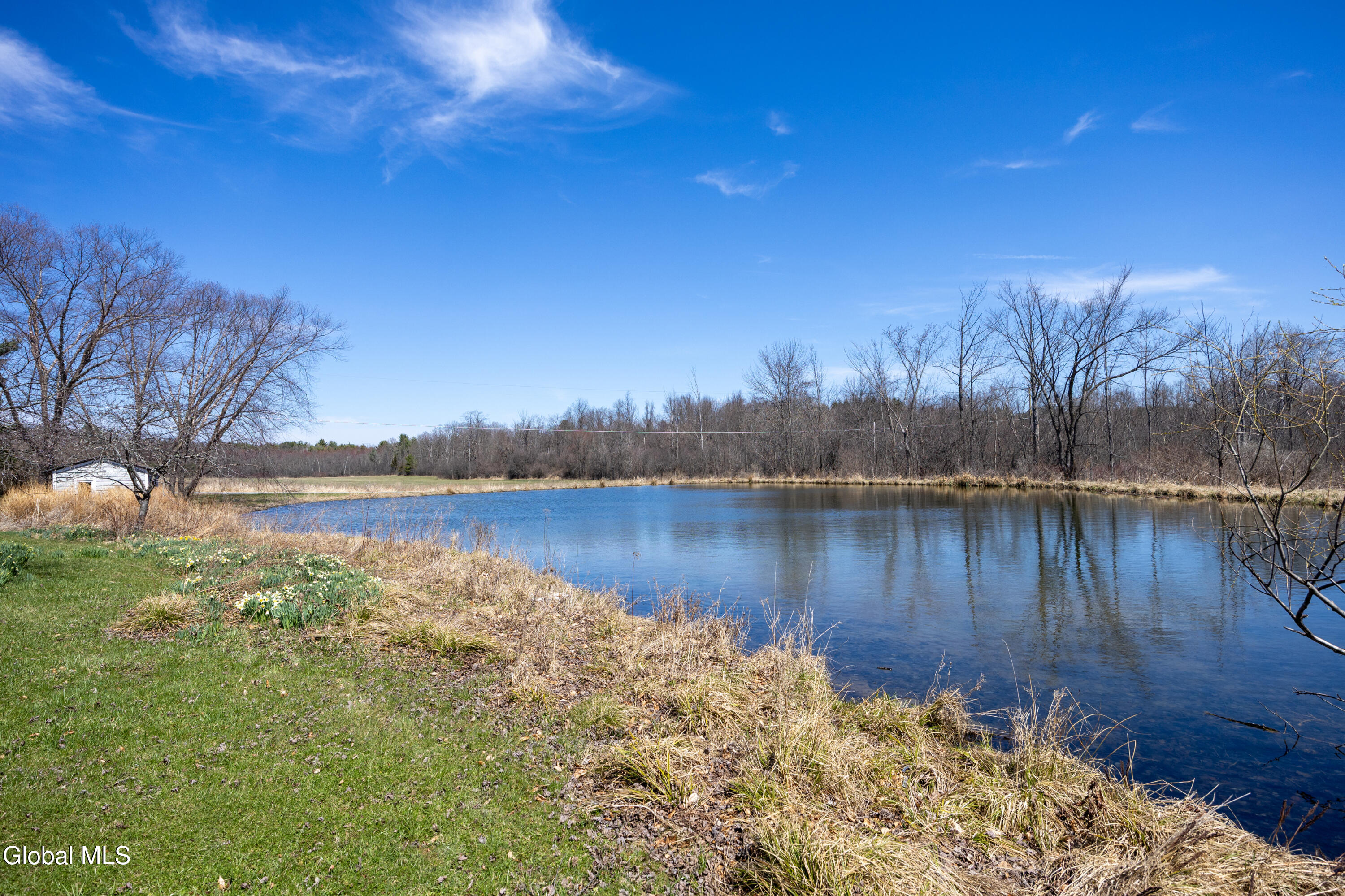 4268 Frederick Road Guilderland, NY 12009 - Photo 63 of 94 1 (15)