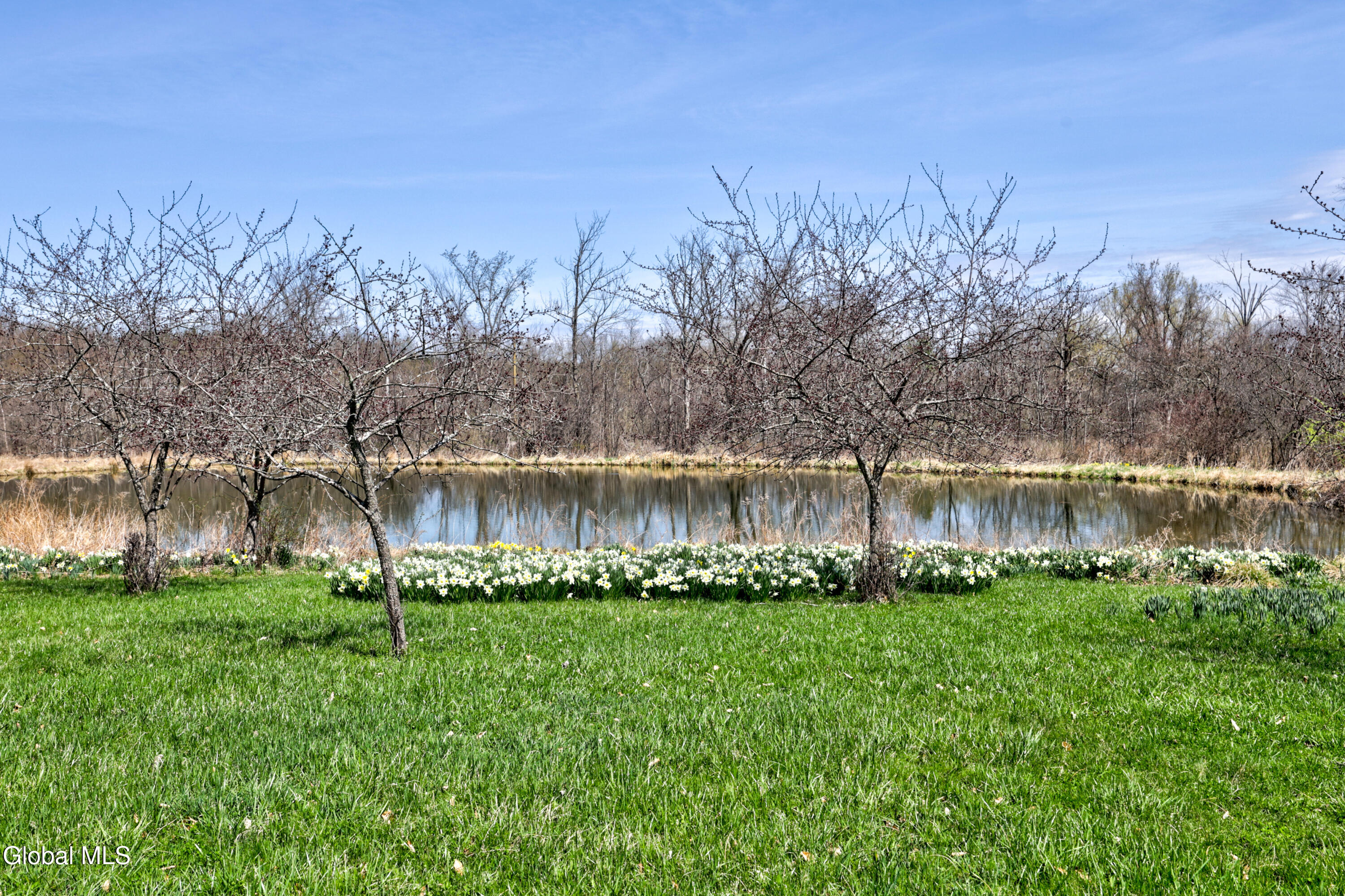 4268 Frederick Road Guilderland, NY 12009 - Photo 64 of 94 1 (84)