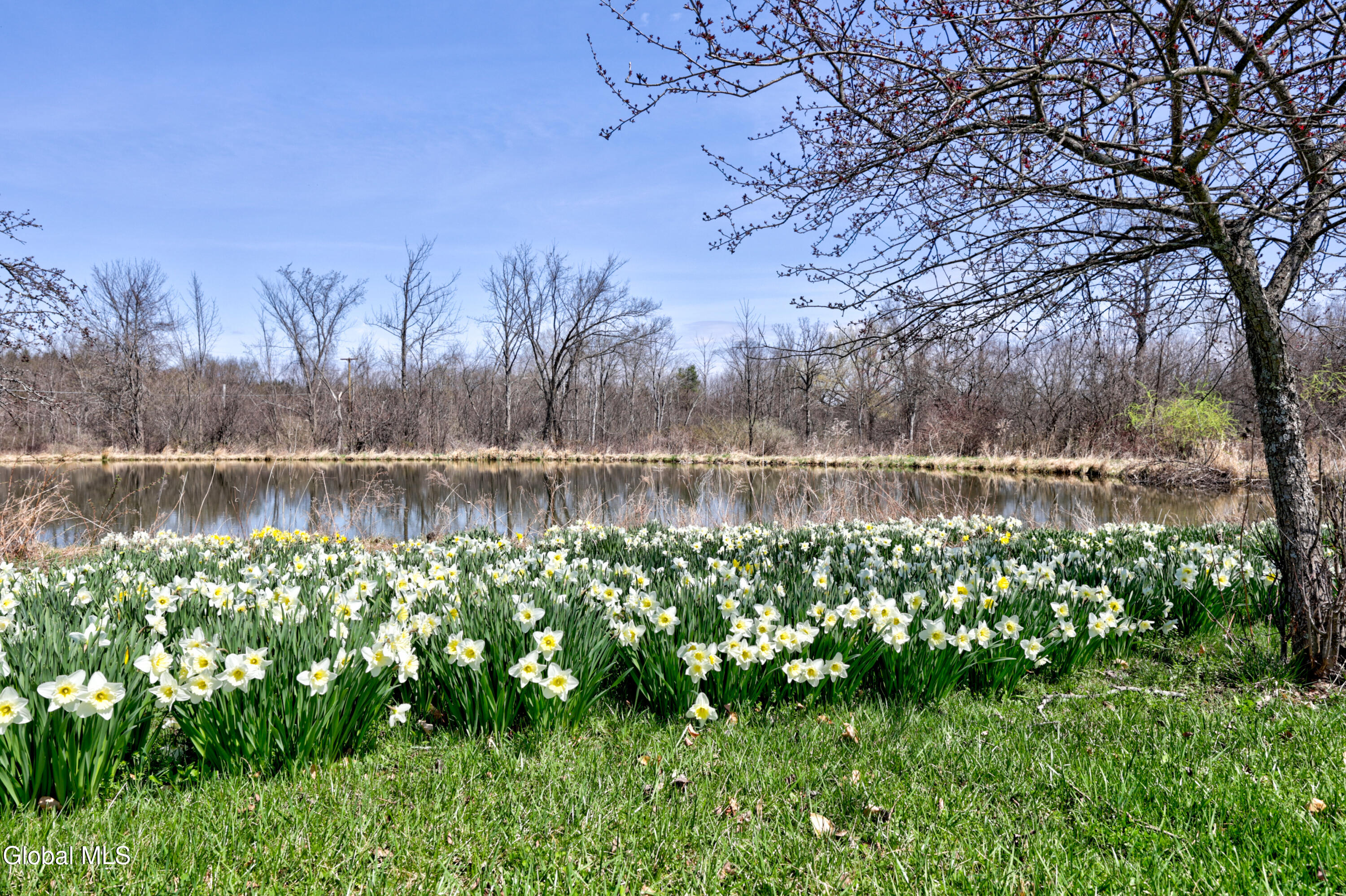 4268 Frederick Road Guilderland, NY 12009 - Photo 66 of 94 1 (85)