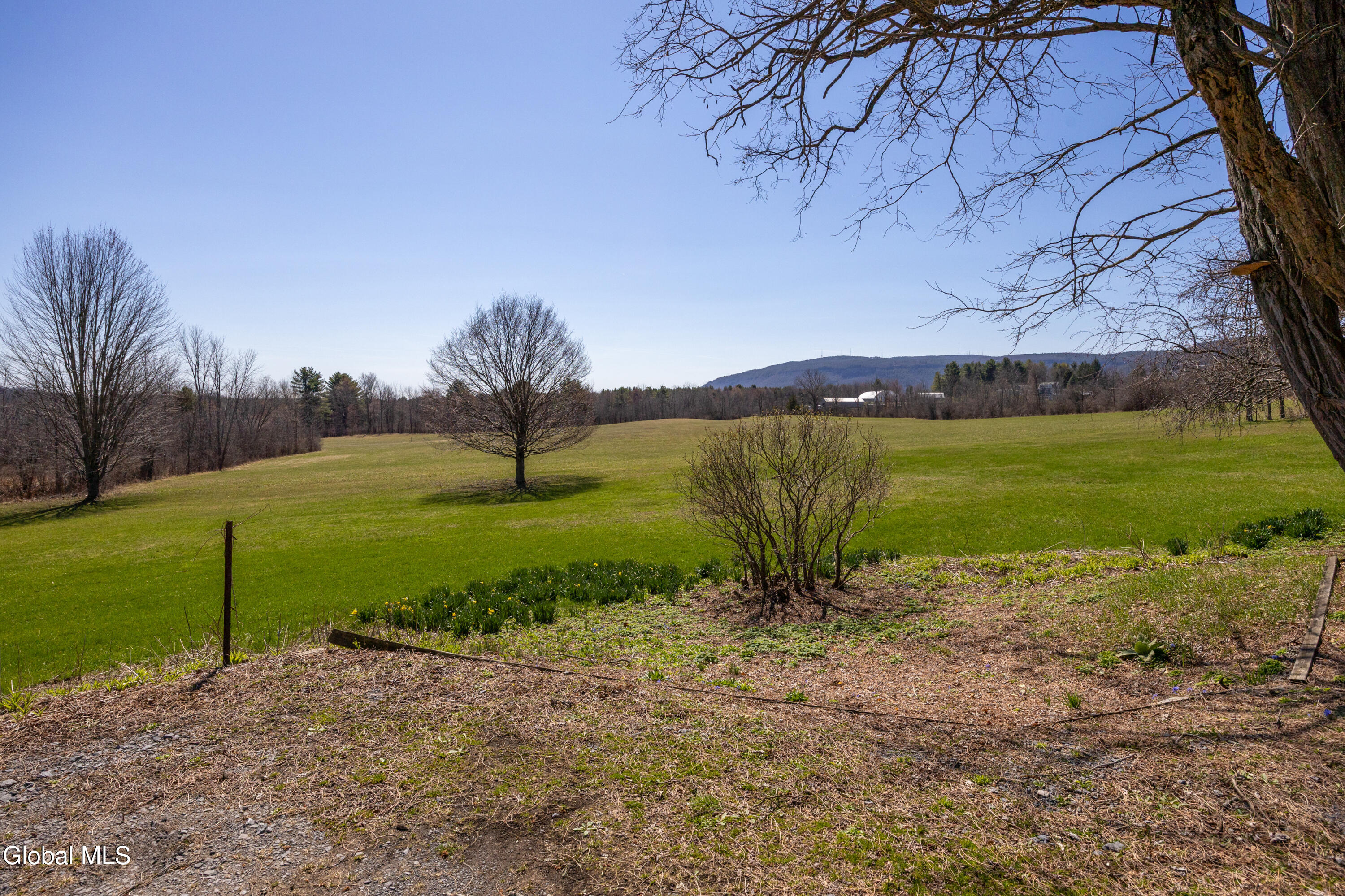 4268 Frederick Road Guilderland, NY 12009 - Photo 81 of 94 1 (7)