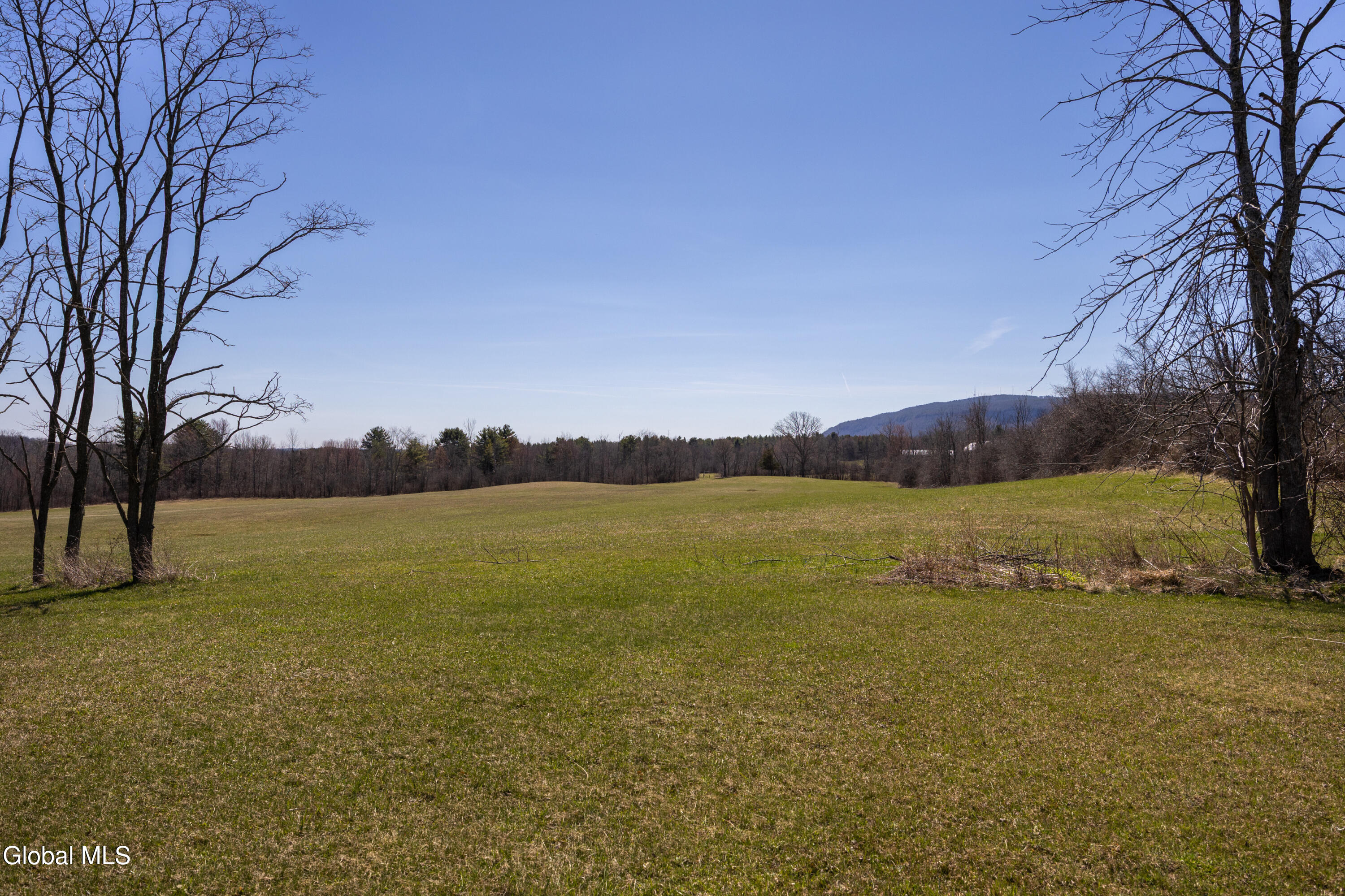 4268 Frederick Road Guilderland, NY 12009 - Photo 82 of 94 1 (12)