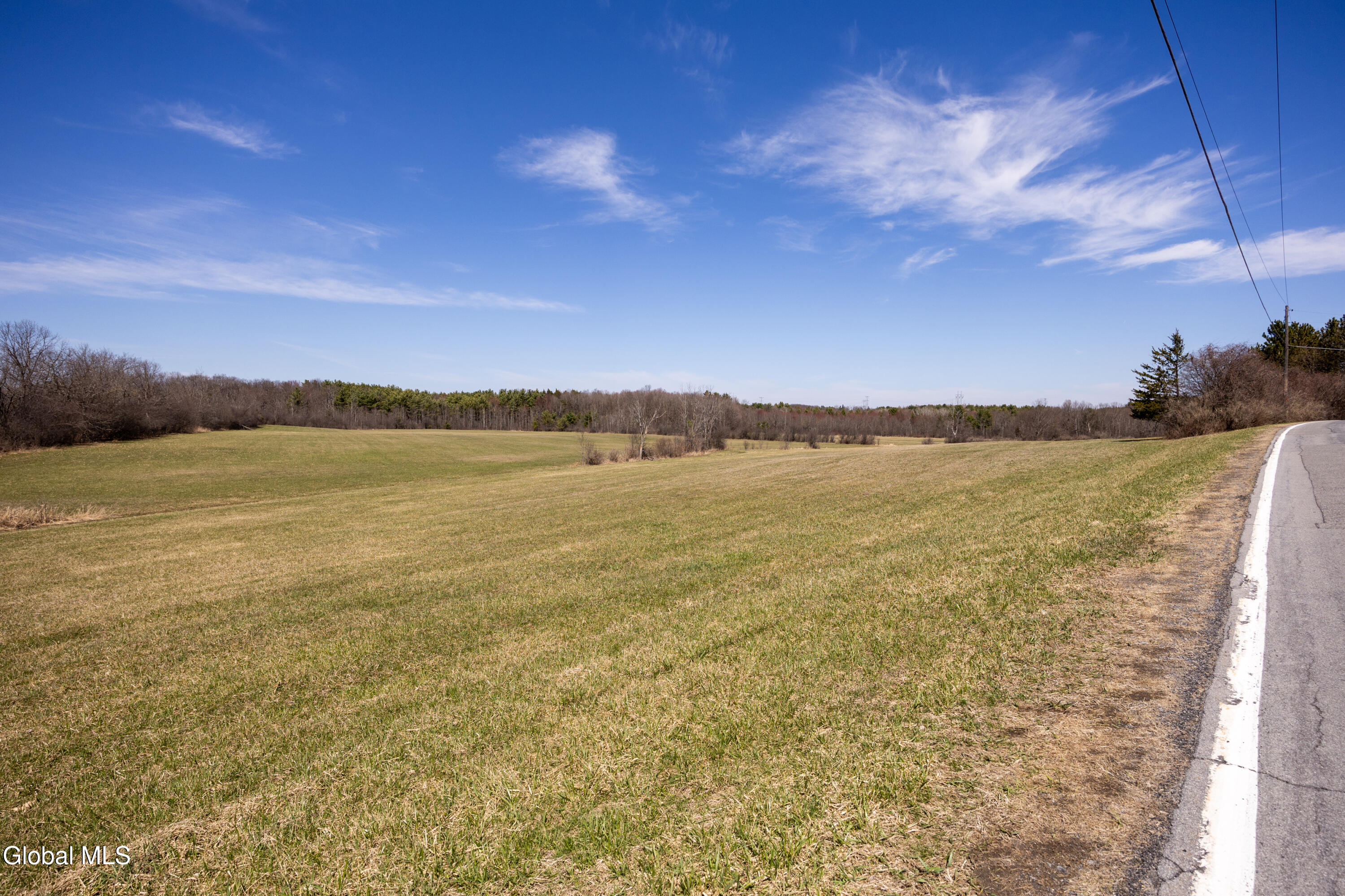 4268 Frederick Road Guilderland, NY 12009 - Photo 83 of 94 1 (23)