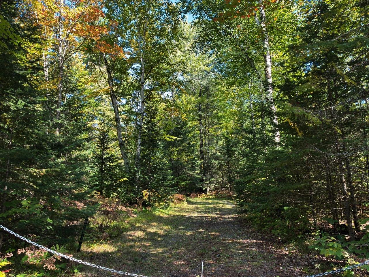 6064 Cramer Lake Road Mercer, WI 54547 - Photo 45 of 47 Gallery Image 45