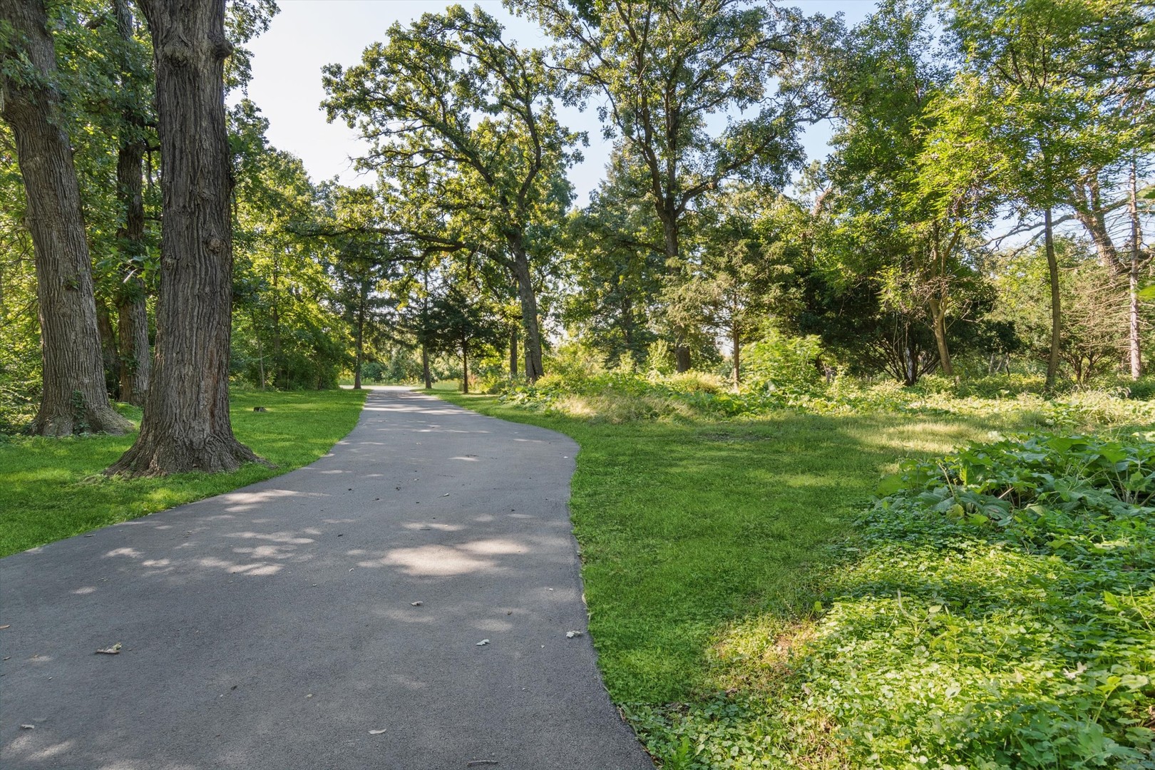 25-w 500 Royce Road Naperville, IL 60565 - Photo 11 of 15 a view of a road with a yard