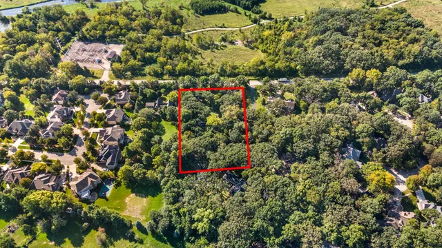 a view of a area with plants and flowers