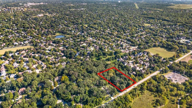 a view of a yard with a tree