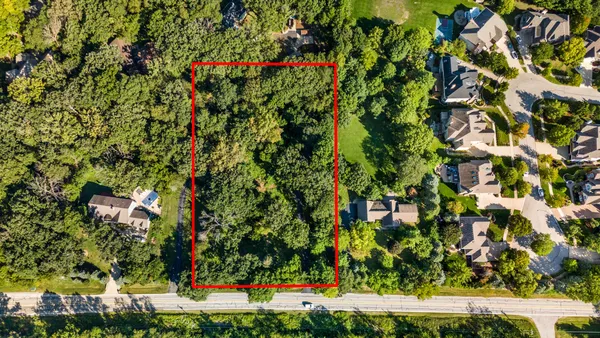 a view of a park with large trees