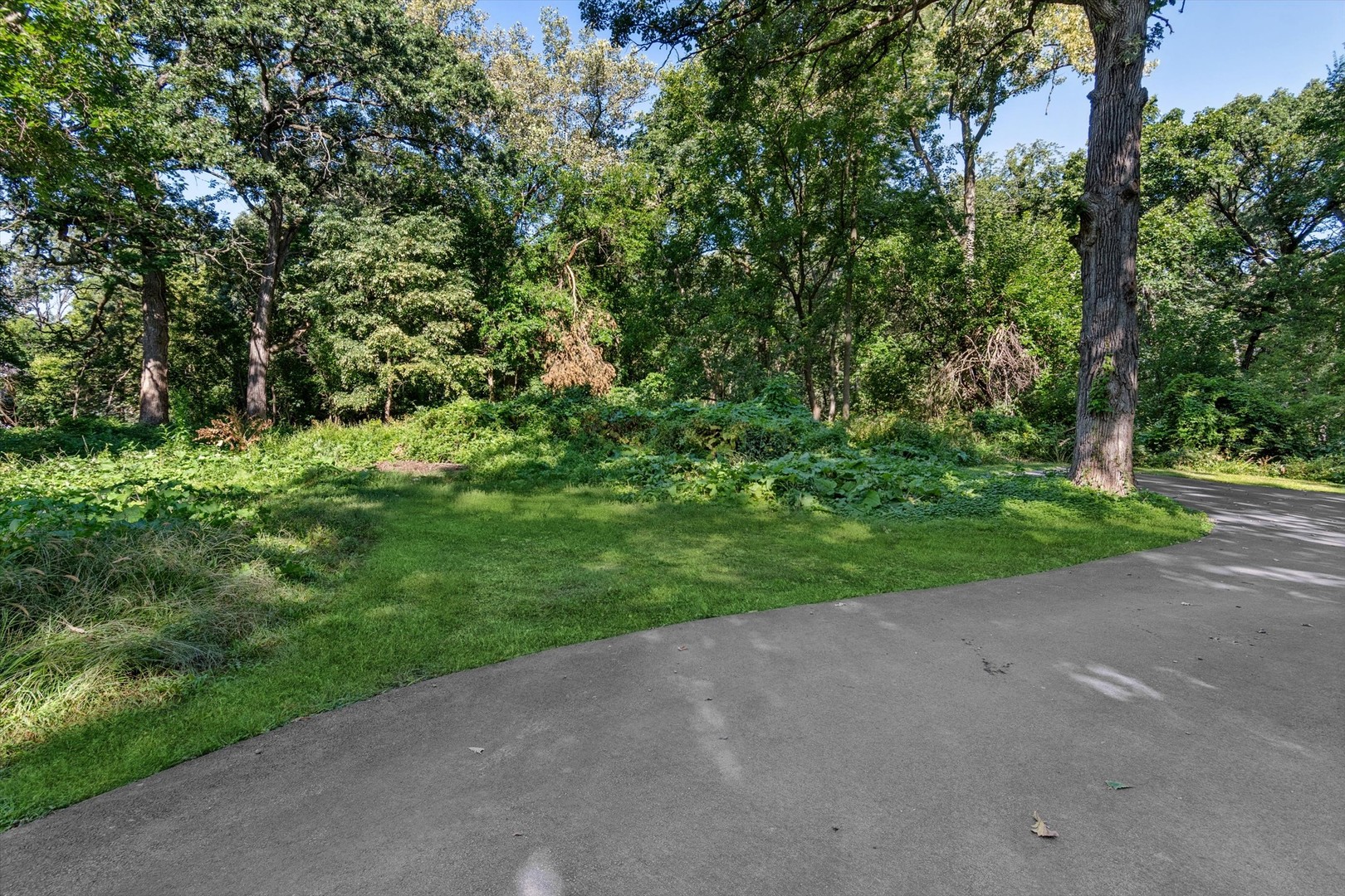 25-w 500 Royce Road Naperville, IL 60565 - Photo 7 of 15 a view of a yard with a tree
