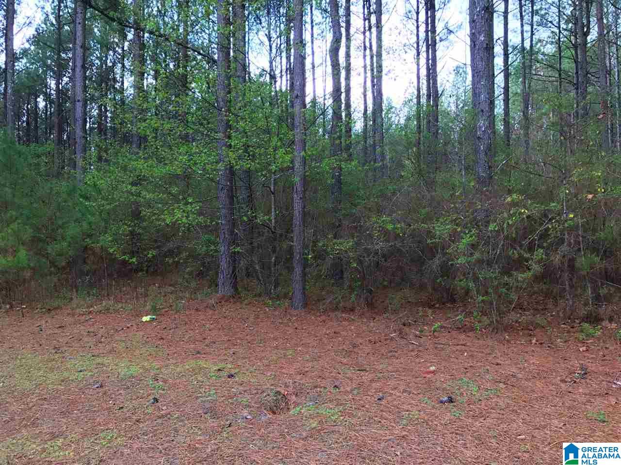 78 Pilgrims Path, Unit 19 Anniston, AL 36207 - Photo 18 of 35