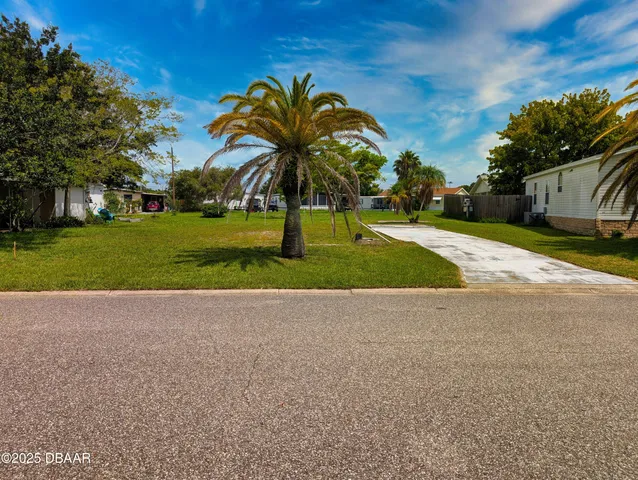 a palm tree sitting in front of a house with a big yard