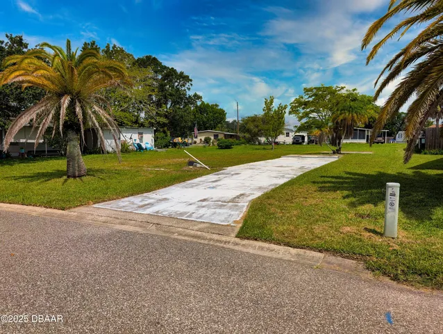 a view of a park with palm trees