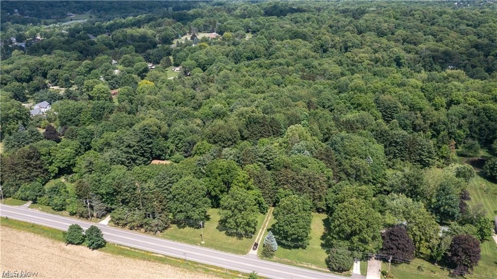 295 North Medina Line Road Akron, OH 44333 - Photo 4 of 17 View from the SW, looking towards Bath Twp.