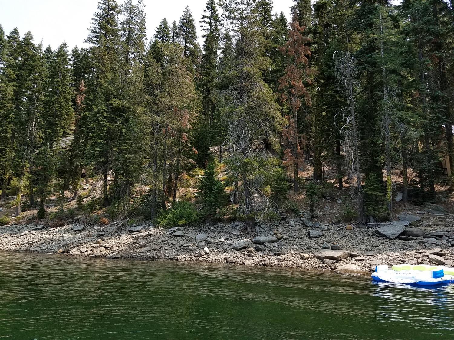 822 Mile High Road Bucks Lake, CA 95971 - Photo 5 of 8