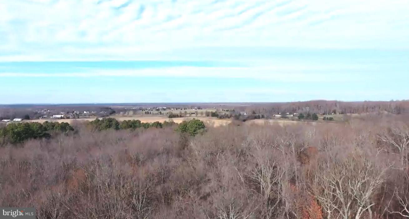 6 Moose Lane Wrightstown, NJ 08562 - Photo 3 of 7