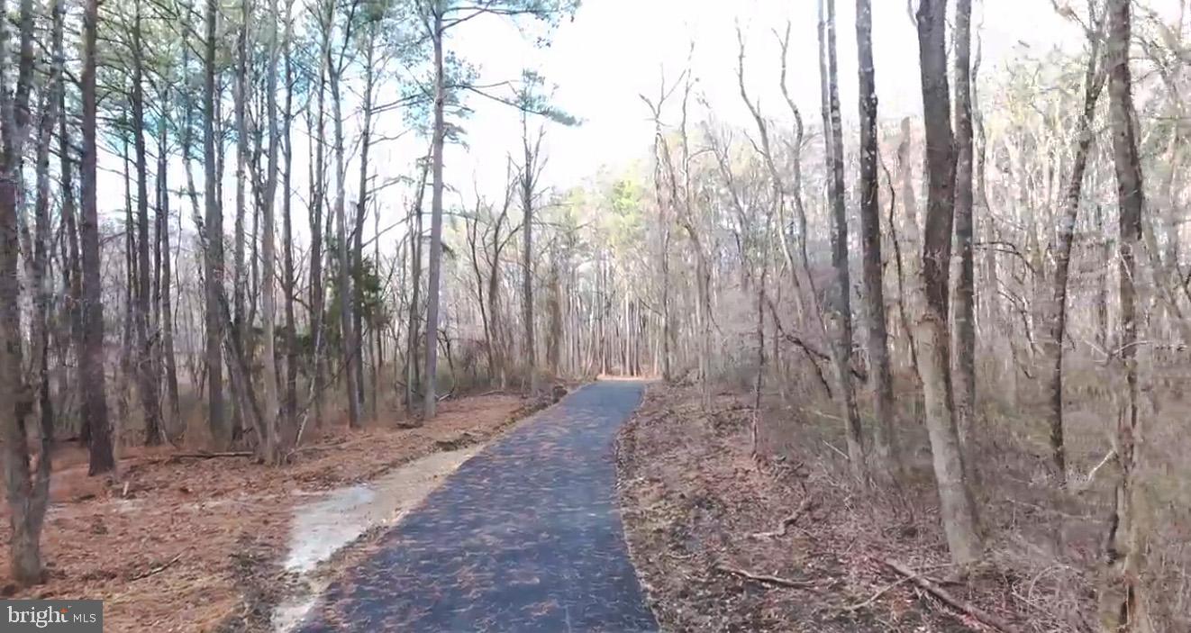 6 Moose Lane Wrightstown, NJ 08562 - Photo 5 of 7