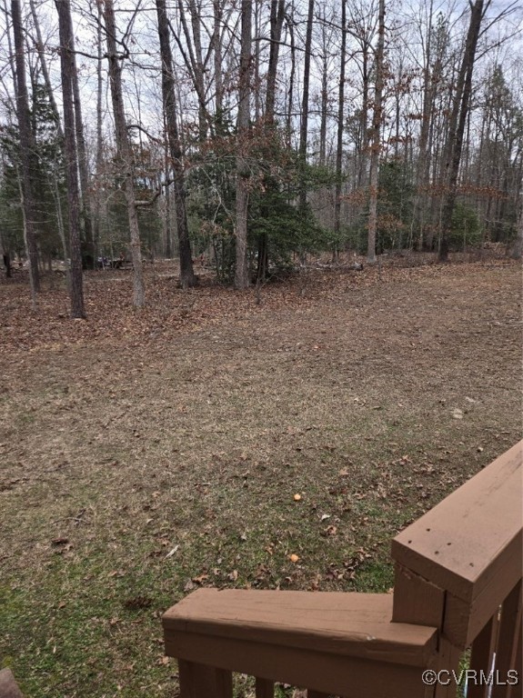 5604 Monguy Road Charles City, VA 23030 - Photo 45 of 49 View of backyard