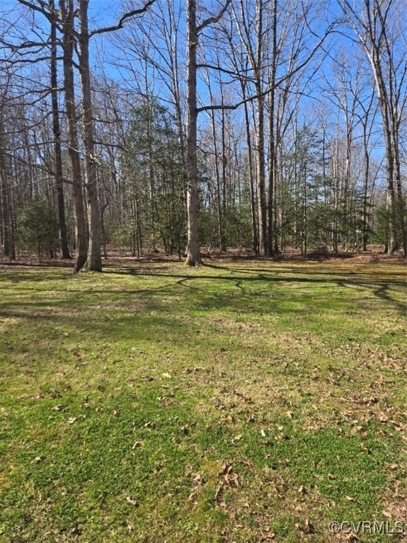 5604 Monguy Road Charles City, VA 23030 - Photo 47 of 49 View of yard