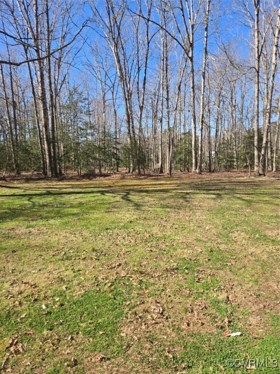5604 Monguy Road Charles City, VA 23030 - Photo 48 of 49 View of yard