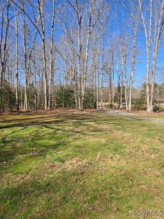 5604 Monguy Road Charles City, VA 23030 - Photo 49 of 49 View of yard