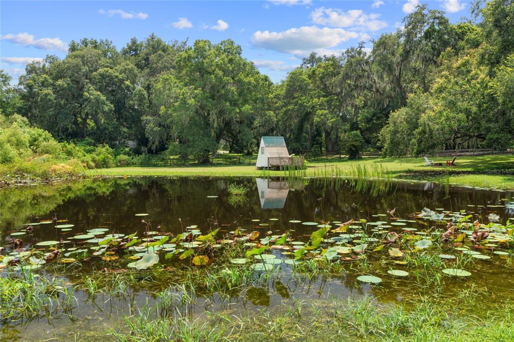 889 Southwest 165th Street Ocala, FL 34473 - Photo 37 of 100