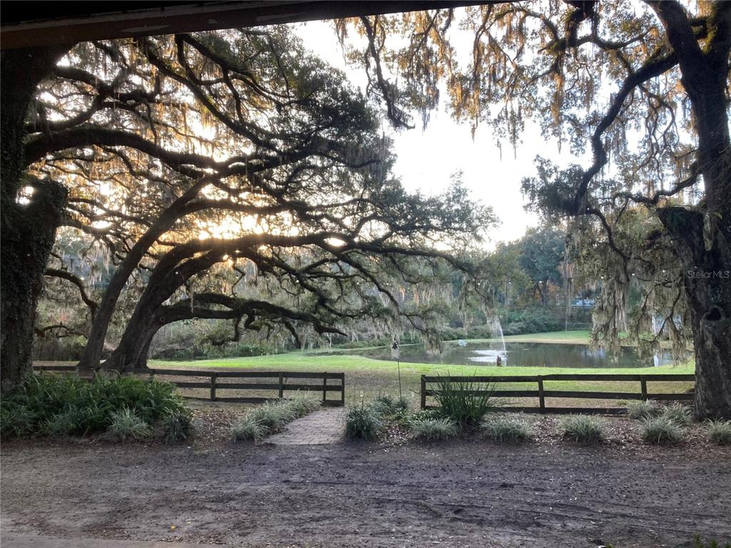 889 Southwest 165th Street Ocala, FL 34473 - Photo 4 of 100