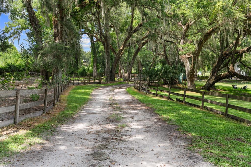 889 Southwest 165th Street Ocala, FL 34473 - Photo 43 of 100