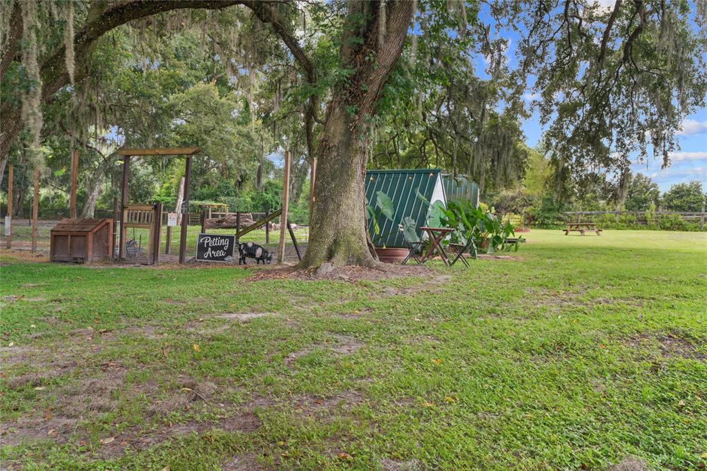 889 Southwest 165th Street Ocala, FL 34473 - Photo 65 of 100