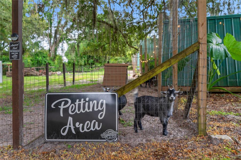 889 Southwest 165th Street Ocala, FL 34473 - Photo 66 of 100