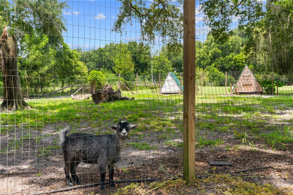 889 Southwest 165th Street Ocala, FL 34473 - Photo 9 of 100