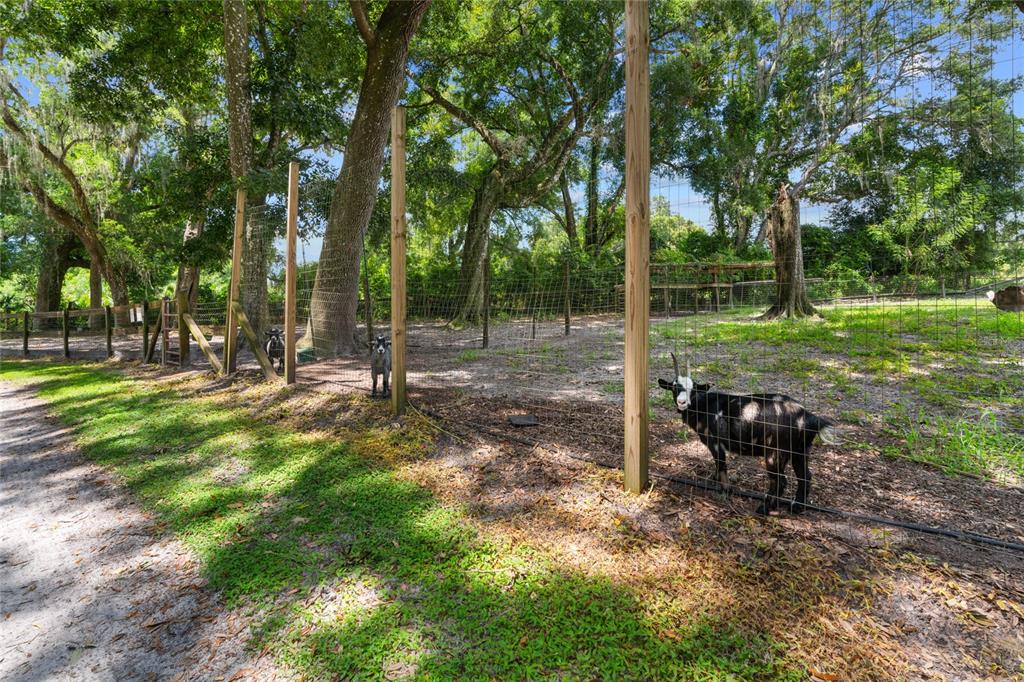 889 Southwest 165th Street Ocala, FL 34473 - Photo 10 of 100