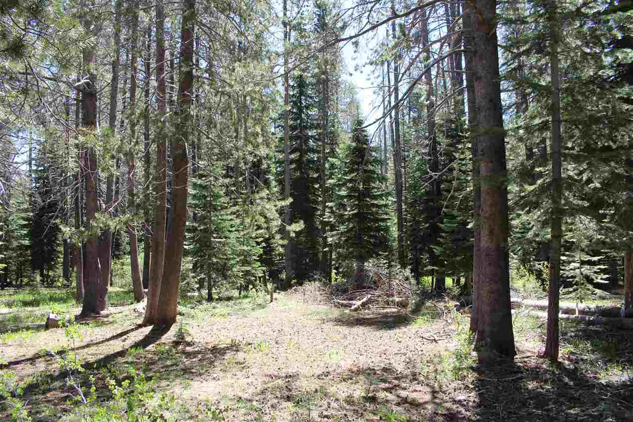 11579 Sun Valley Road Truckee, CA 96161 - Photo 8 of 14 Gallery Image 8